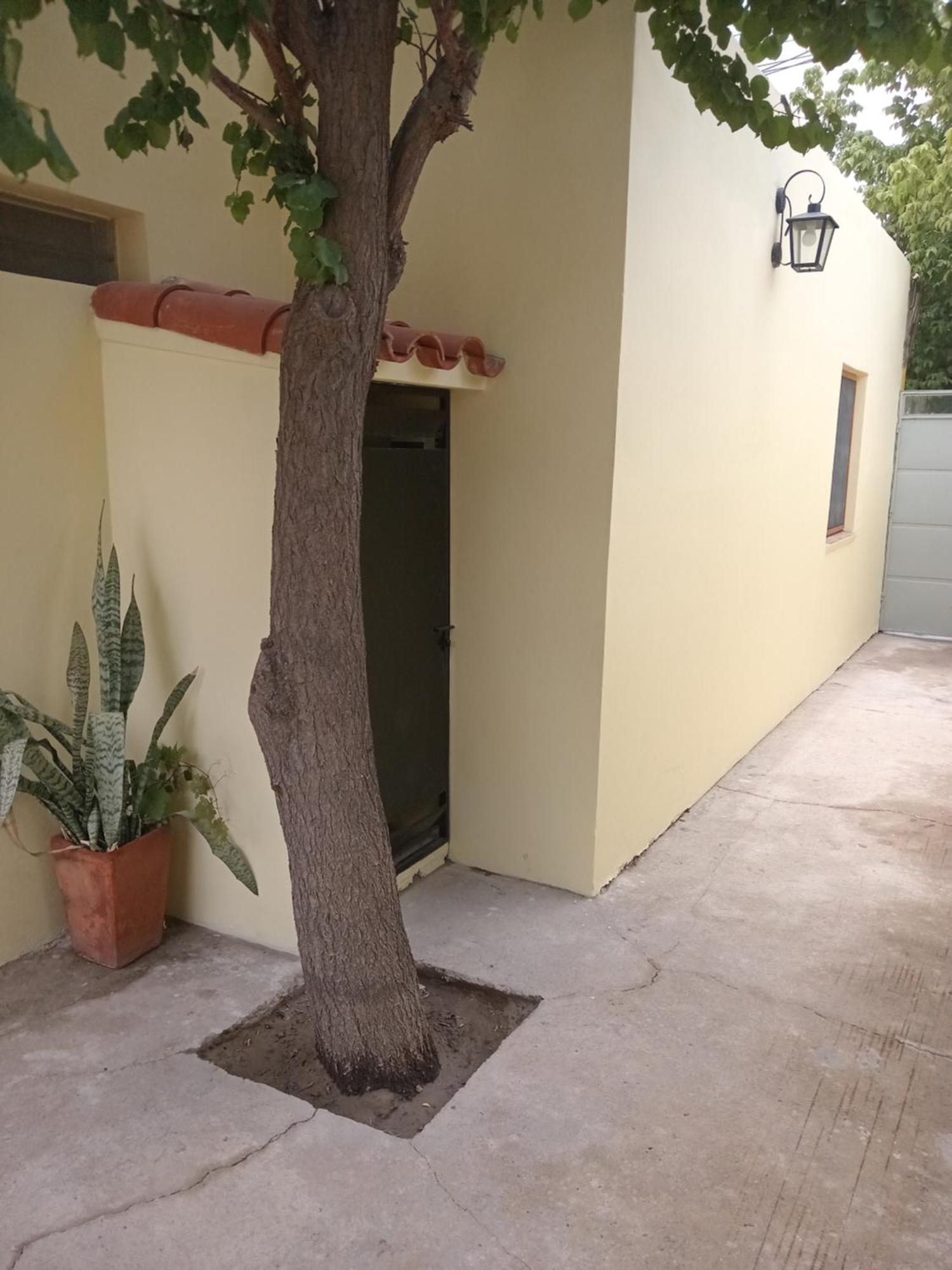 Apartmán El Tonel Cafayate Exteriér fotografie